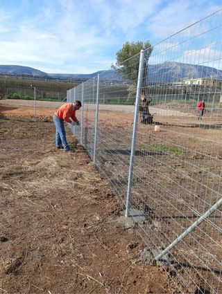 Valla Metálica Simple Torsión Hercules Etc.