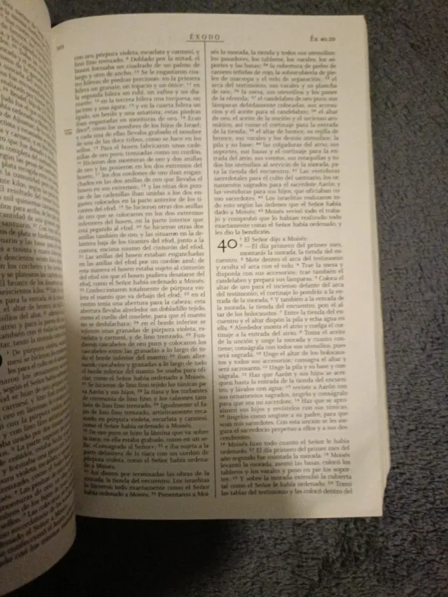 La Biblia didáctica