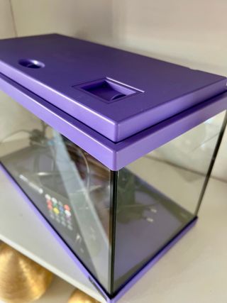 Pecera pequeña morada