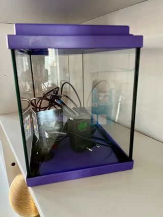 Pecera pequeña morada