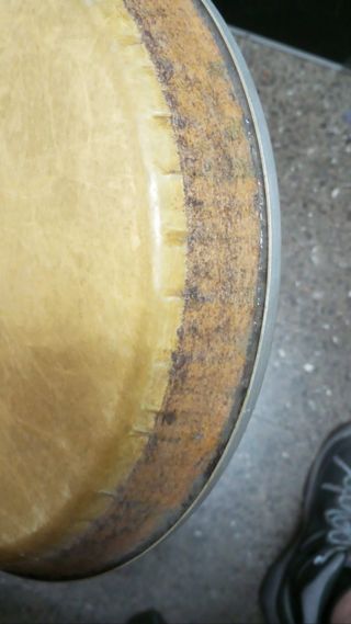 Parche per congas LP