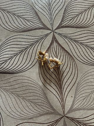 Orecchini metallo  dorato con perle