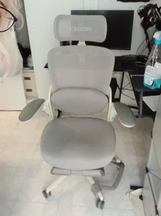 Silla Ergonómica Oficina Musso E80 Muse