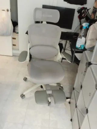 Silla Ergonómica Oficina Musso E80 Muse