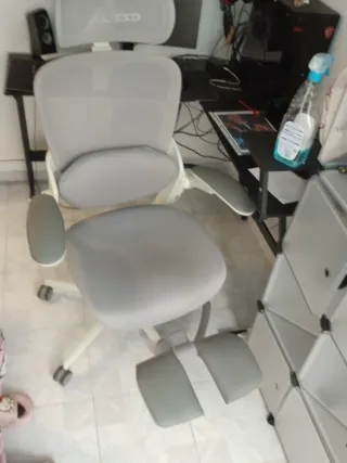 Silla Ergonómica Oficina Musso E80 Muse