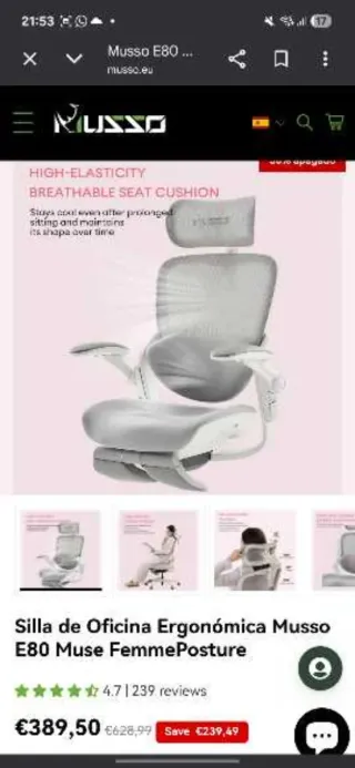 Silla Ergonómica Oficina Musso E80 Muse