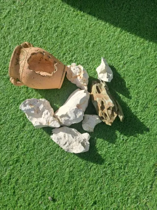 Decoración Acuario: Plantas, Figuras y Rocas