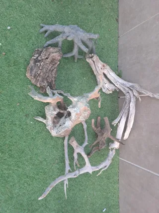 Decoración Acuario: Plantas, Figuras y Rocas