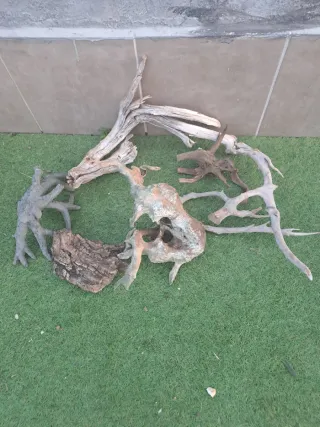 Decoración Acuario: Plantas, Figuras y Rocas