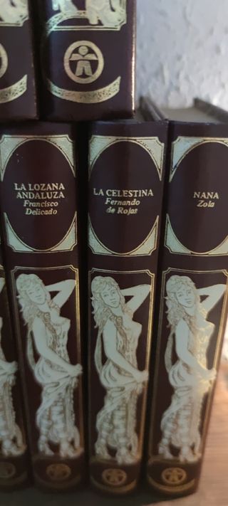 Colección de libros clásicos