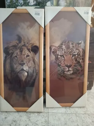 Cuadros animales