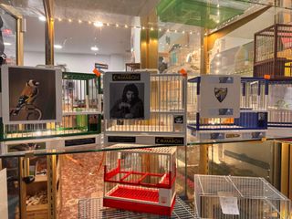 Jaulas varias, precio por unidad