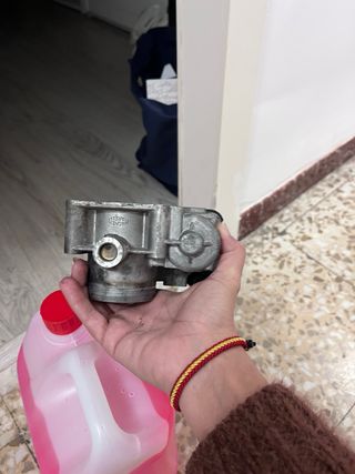 Cuerpo de Mariposa Fiat Punto