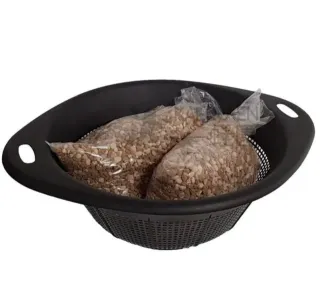 Westringia | Bonsai Zero colador REDONDO