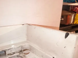 Estribo Renault Range T