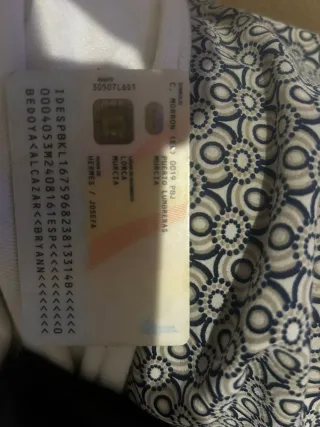 Honda CBR 1000f Negra y Verde