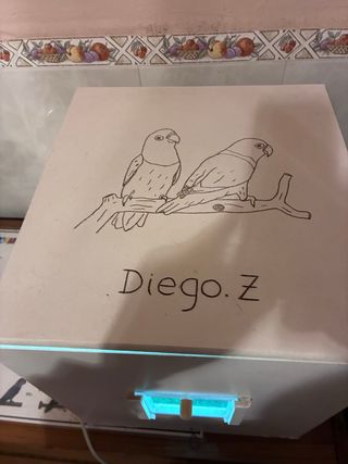 Cajón para fotografía de pájaros