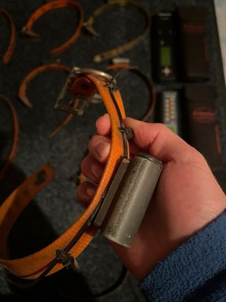 Collares para perro TinyLoc