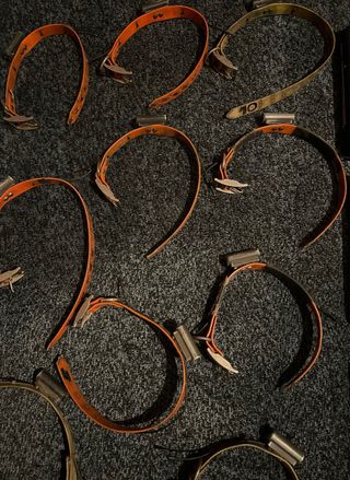 Collares para perro TinyLoc