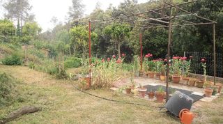 Terreno no urbanizable en venta - Molins de Rei