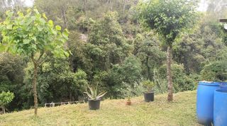 Terreno no urbanizable en venta - Molins de Rei