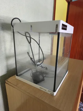 Acuario 20L
