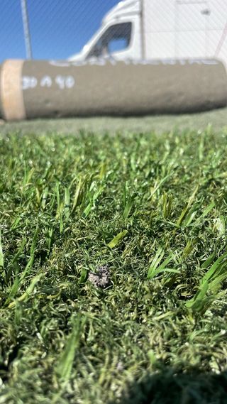 Cesped artificial para exteriores