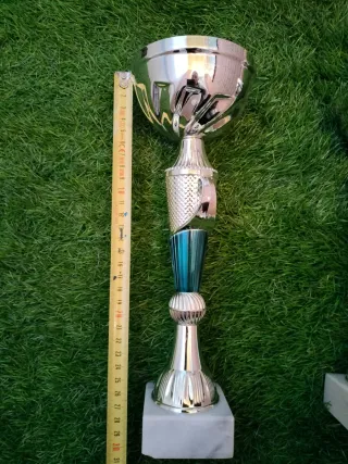 Son 7 trofeos Deportivos.