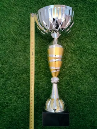 Son 7 trofeos Deportivos.