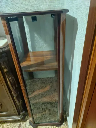 Vitrina de madera y cristal