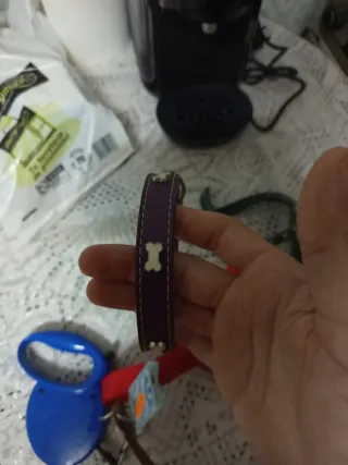 Collares para perros (varios)