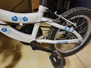 Bicicleta infantil niña Zhafir