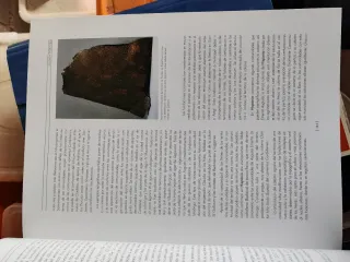 Hispania el legado de Roma : La Lonja-Zaragoza,...