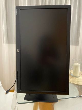 Monitor HP ProDisplay P221 21.5 Negro