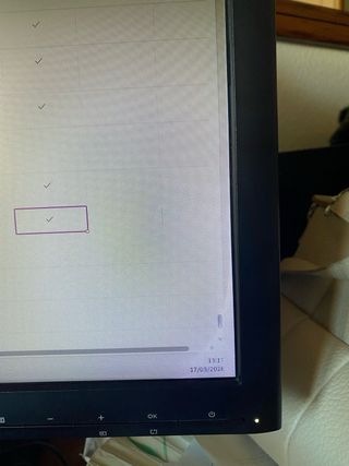 Monitor HP ProDisplay P221 21.5 Negro