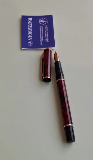 Penna Stilografica Waterman