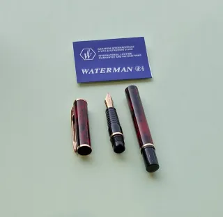 Penna Stilografica Waterman