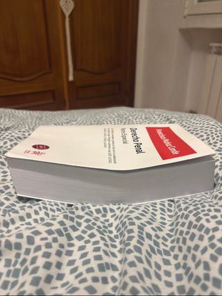 Derecho Penal. Parte especial. 25ª Edición, rev...