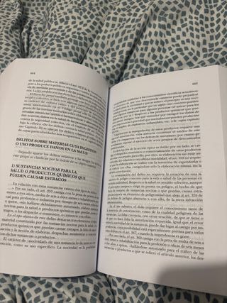 Derecho Penal. Parte especial. 25ª Edición, rev...