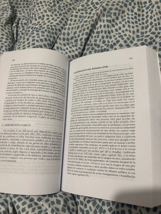 Derecho Penal. Parte especial. 25ª Edición, rev...