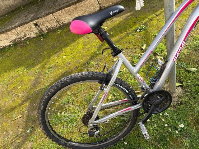 Bicicleta de montaña