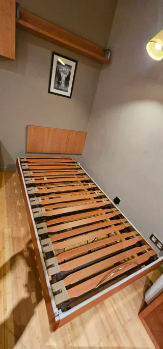 Se venden 2 camas articuladas eléctricas y colchón