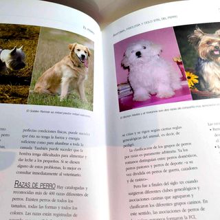 Libro EL PERRO Características Educación Cuidados