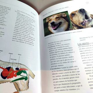 Libro EL PERRO Características Educación Cuidados