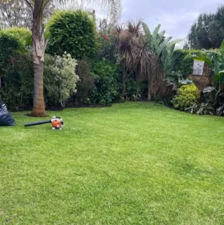 Jardinero mantenimiento de jardines