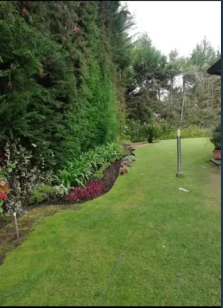 Jardinero mantenimiento de jardines