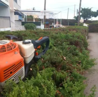 Jardinero mantenimiento de jardines