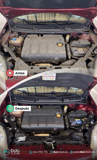 Limpieza Tapicería Coche Valencia | Asientos