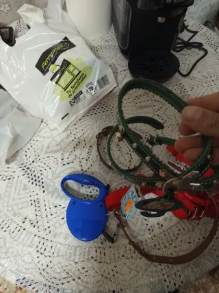 Lote Collares y Correa para Perro