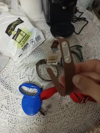 Lote Collares y Correa para Perro